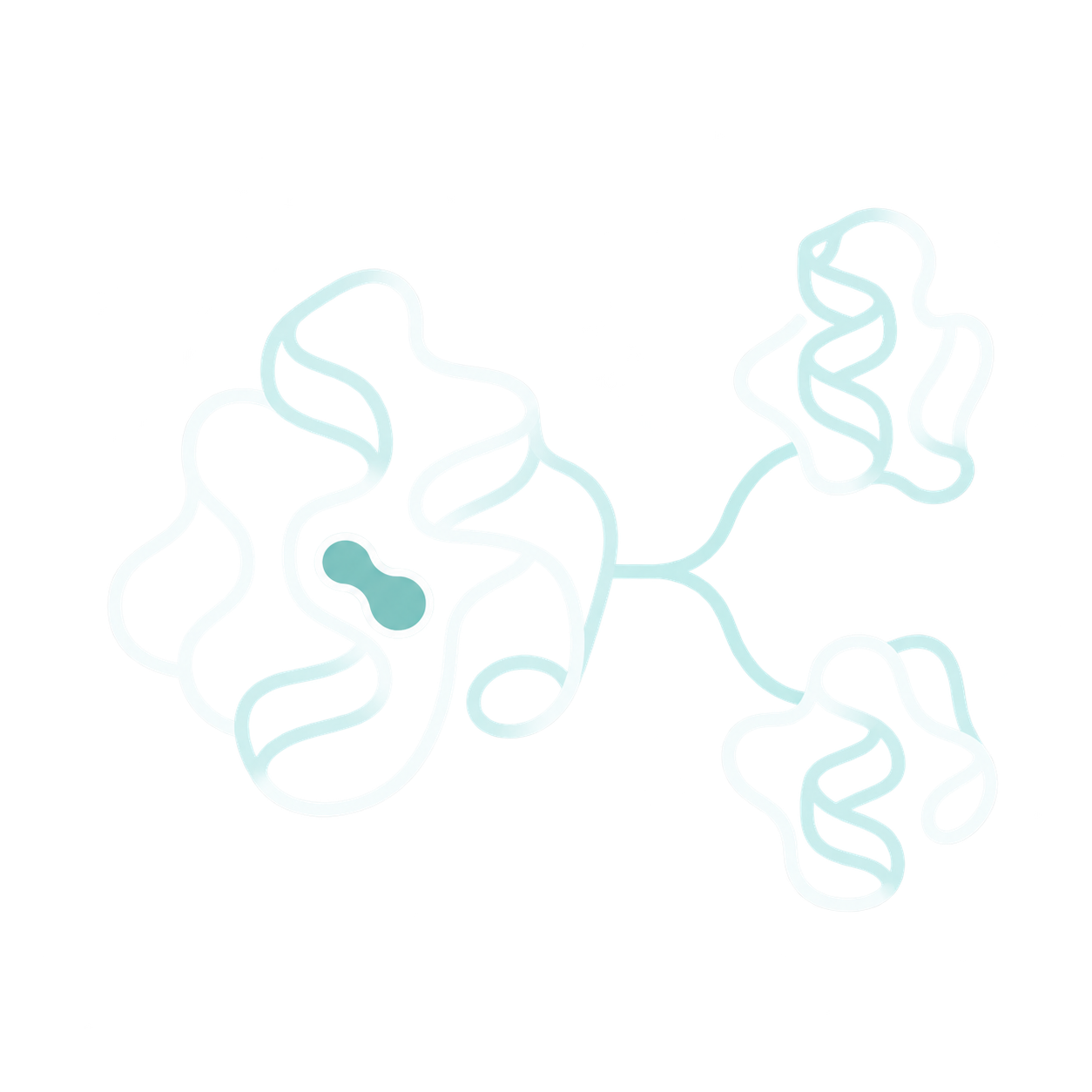 Conceptual schematic of a folded enzyme with a bound molecule and related protein forms